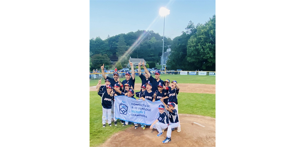 Congratulations 10U All-Stars! 2022 District 6 & Section 2 Champions!
